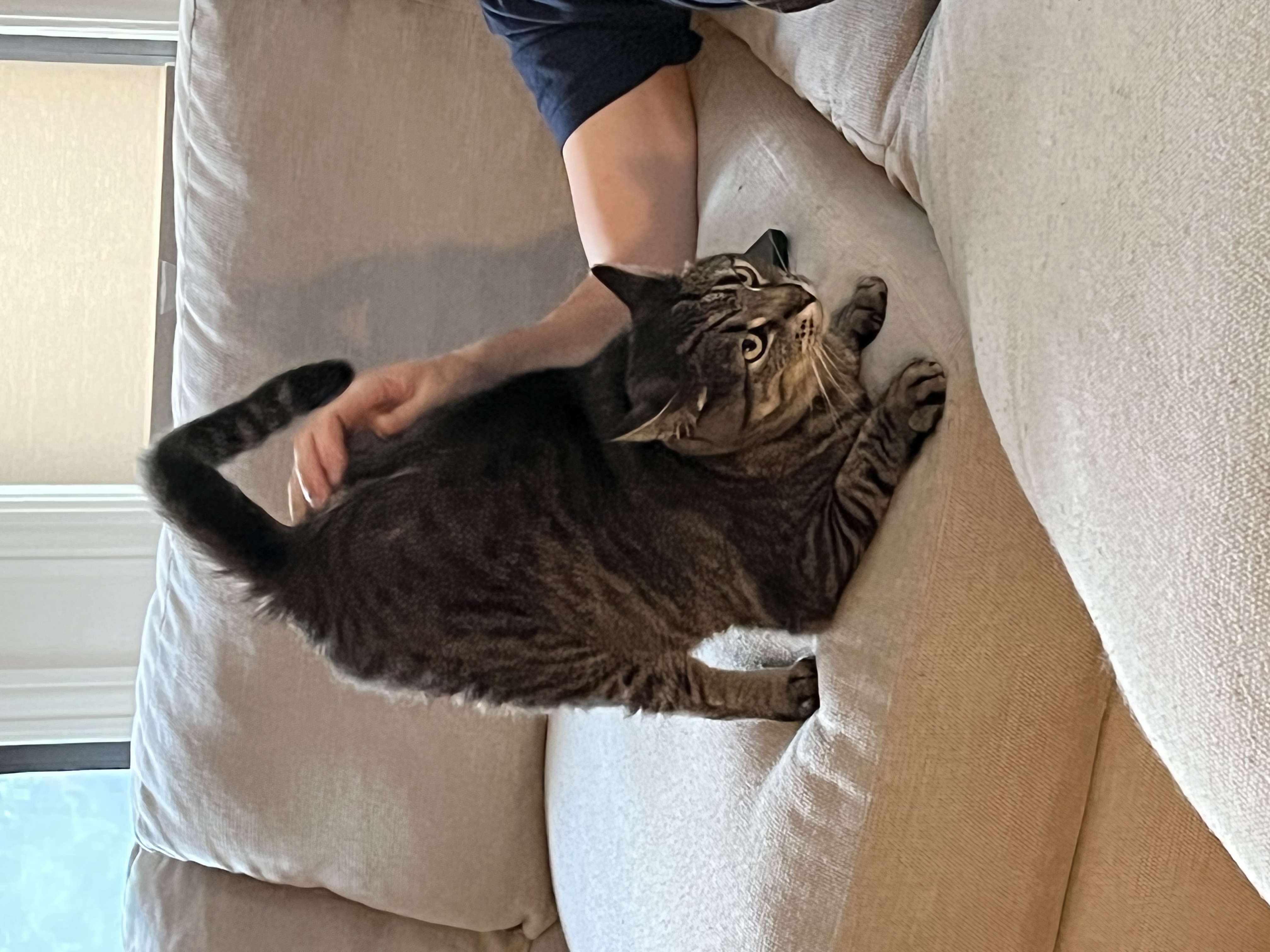 Mr. Rogers newest photo