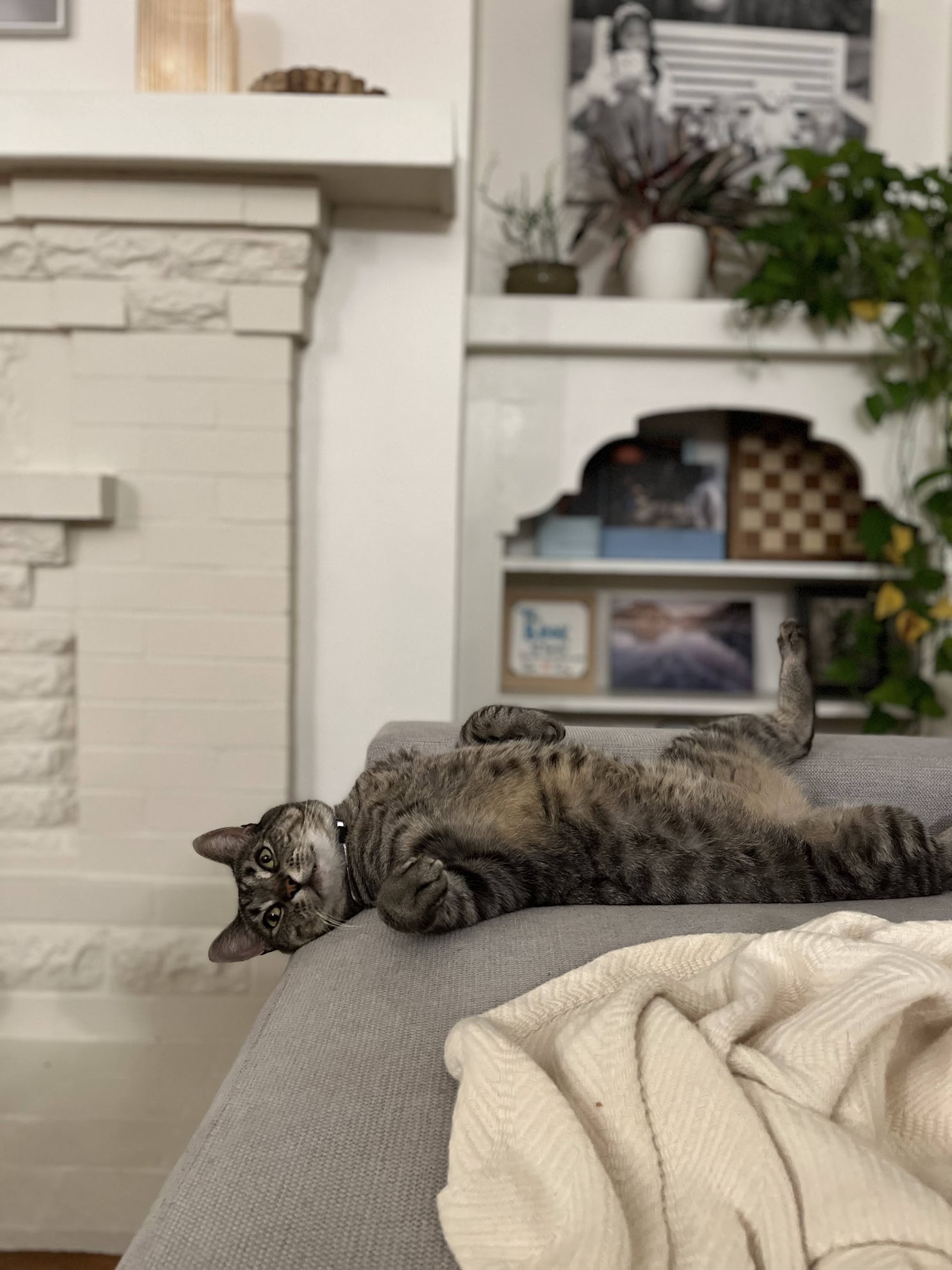 Mr. Rogers being playful